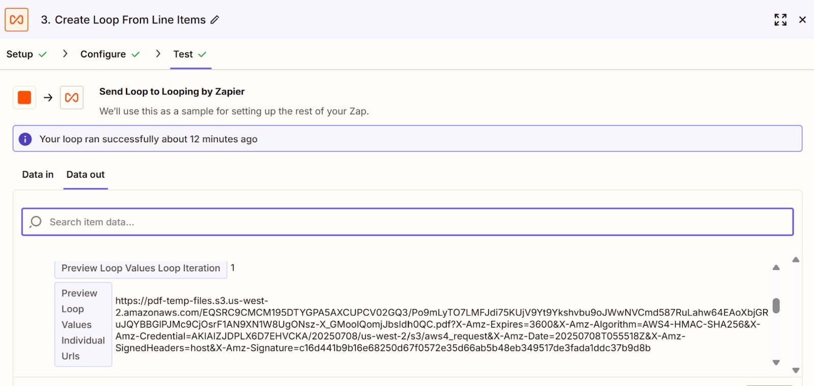 Test the Looping Setup